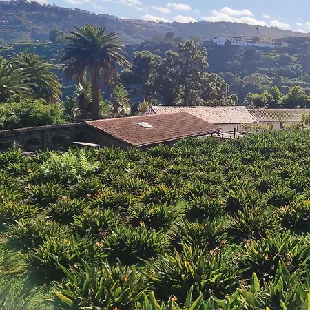 فيلة Casa Donana أروكاس