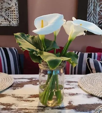 فيلة Casa Donana أروكاس