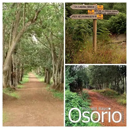 Casa Donana * أروكاس